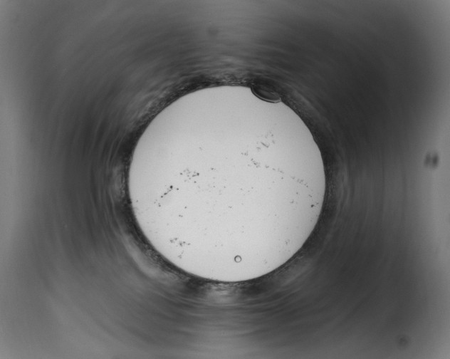 X0000115000088200911231214