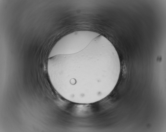 X0000115000089200911231214