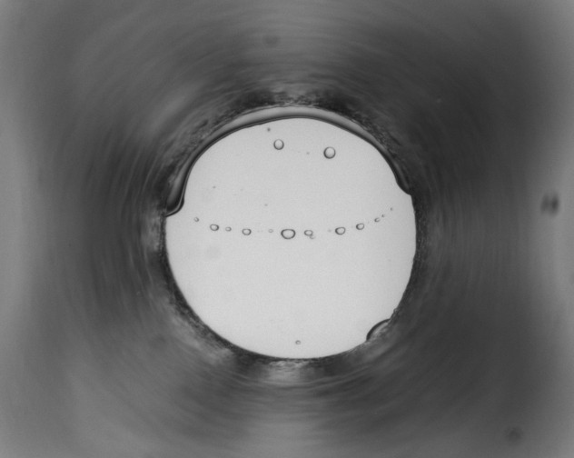 X0000115000090200911231214