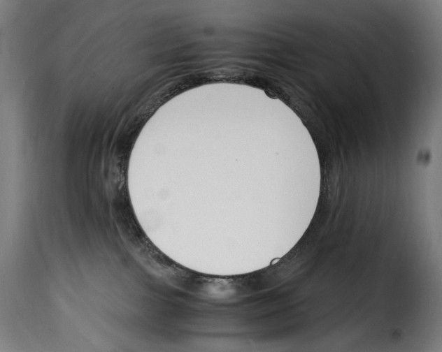 X0000115000091200911231214