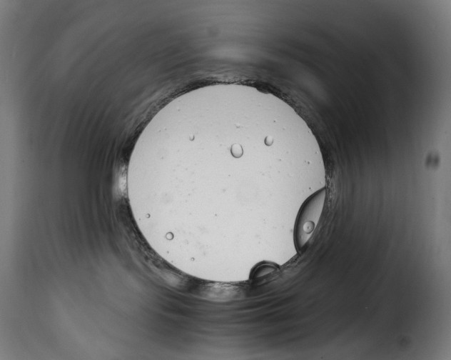 X0000115000095200911231214