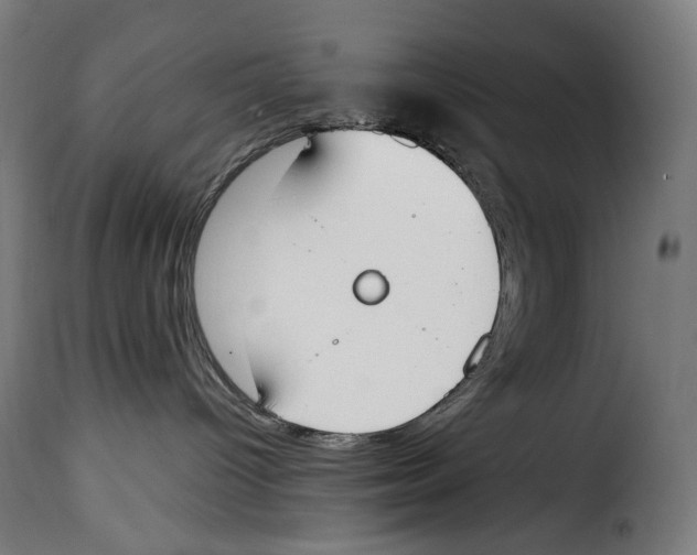 X0000115000096200911231214