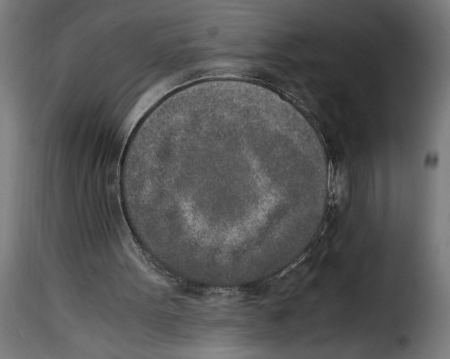 X0000115000099200911231213