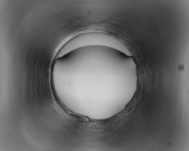 X0000115000100200911231213