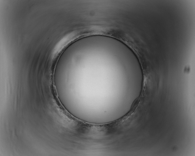 X0000115000101200911231213