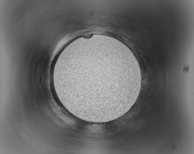 X0000115000102200911231213