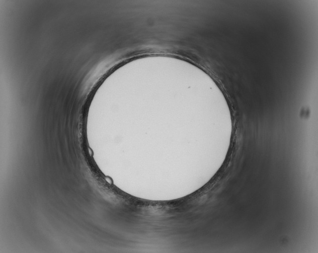 X0000115000103200911231213