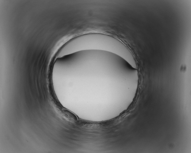 X0000115000104200911231213