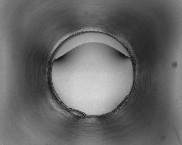 X0000115000108200911231213