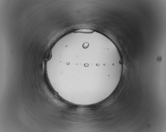 X0000115000109200911231213