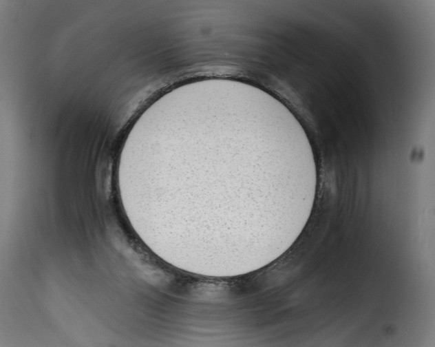 X0000115000110200911231213