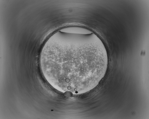 X0000115000111200911231213