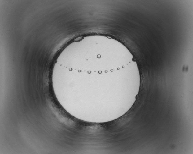 X0000115000112200911231213