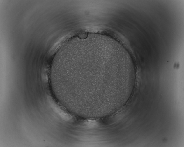 X0000115000114200911231213