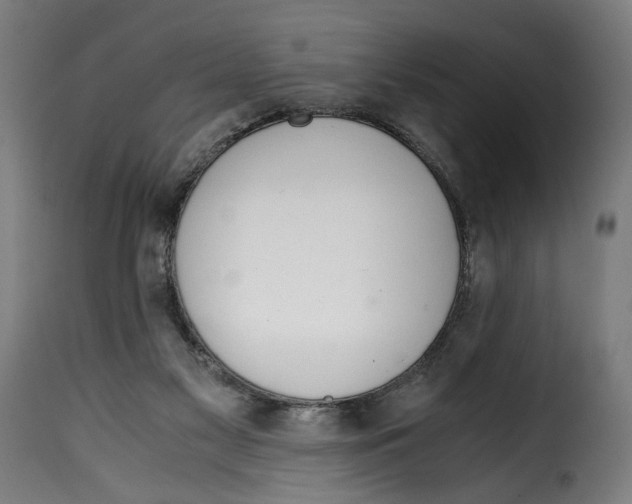 X0000115000117200911231213