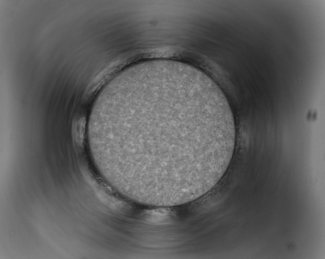 X0000115000118200911231213