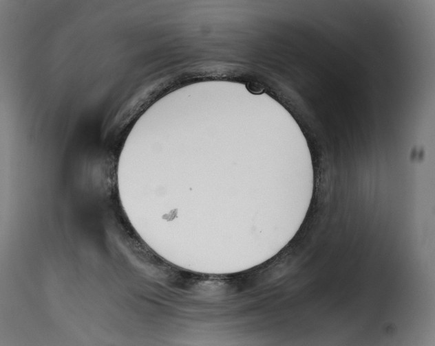 X0000115000119200911231213