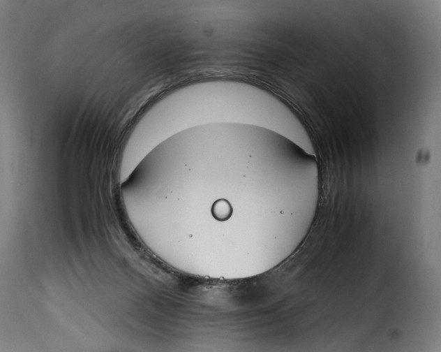 X0000115000120200911231213