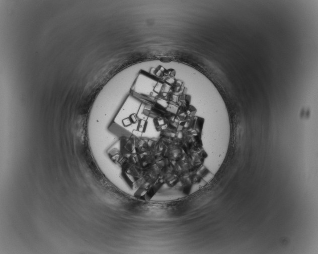 X0000115000121200911231213