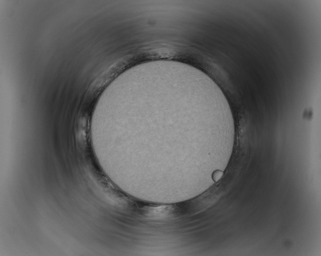 X0000115000122200911231213