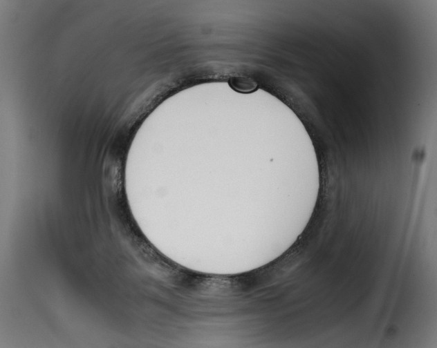 X0000115000123200911231213