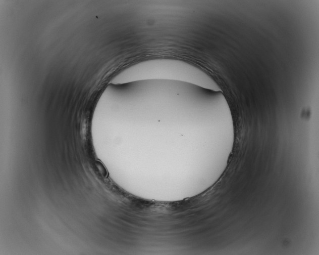 X0000115000124200911231213