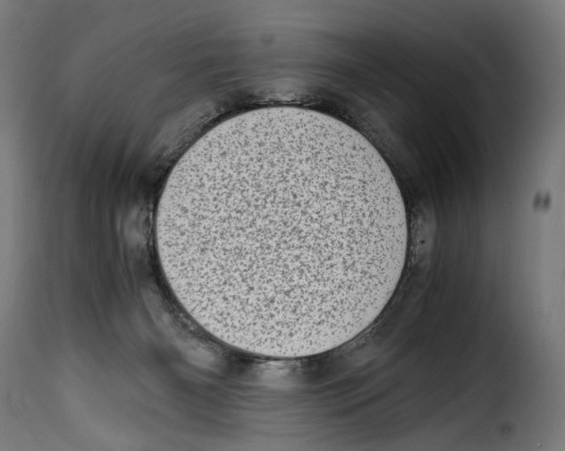 X0000115000126200911231213