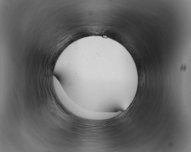 X0000115000128200911231213