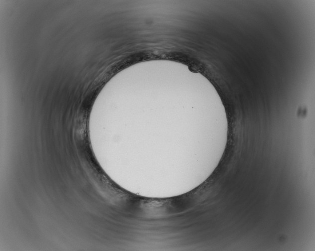 X0000115000129200911231213