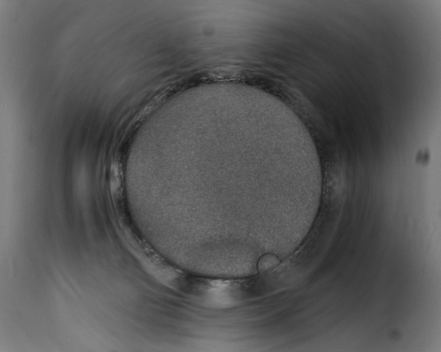 X0000115000130200911231213