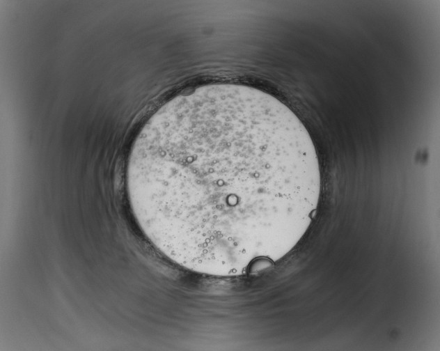 X0000115000131200911231213