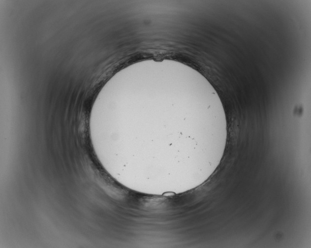 X0000115000132200911231213