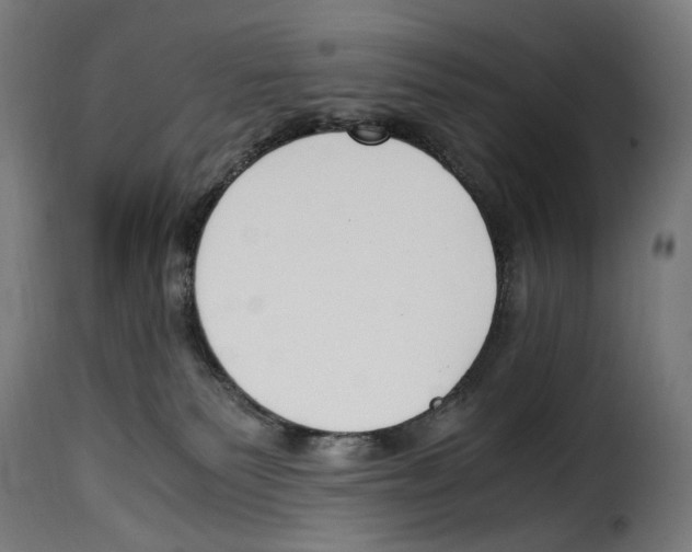 X0000115000135200911231213