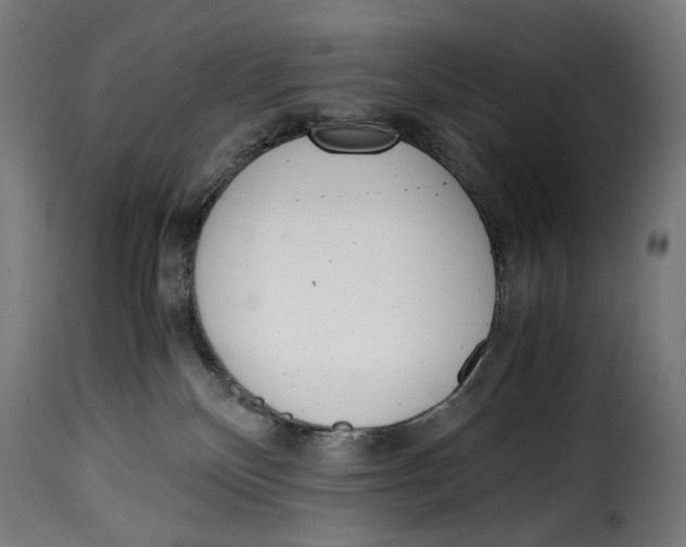 X0000115000136200911231213