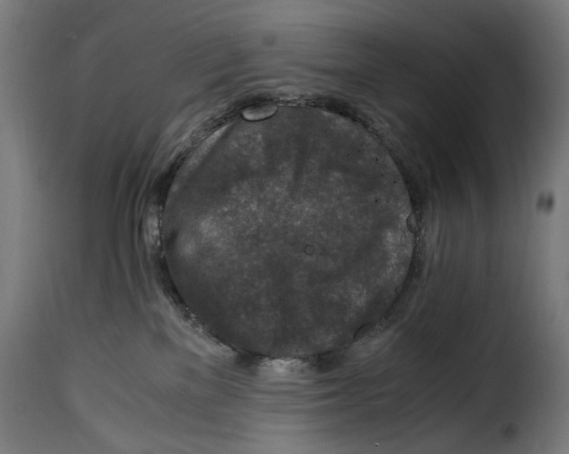 X0000115000137200911231213