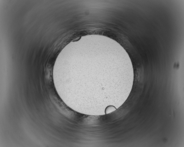 X0000115000138200911231213