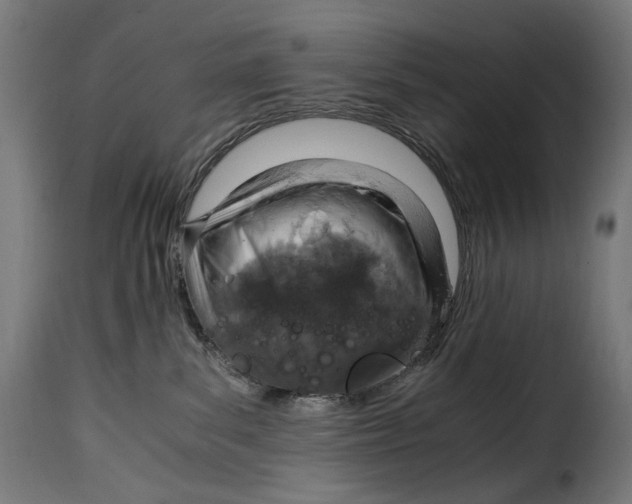 X0000115000139200911231213