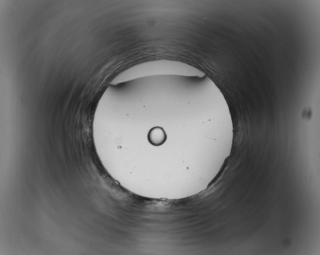 X0000115000140200911231213