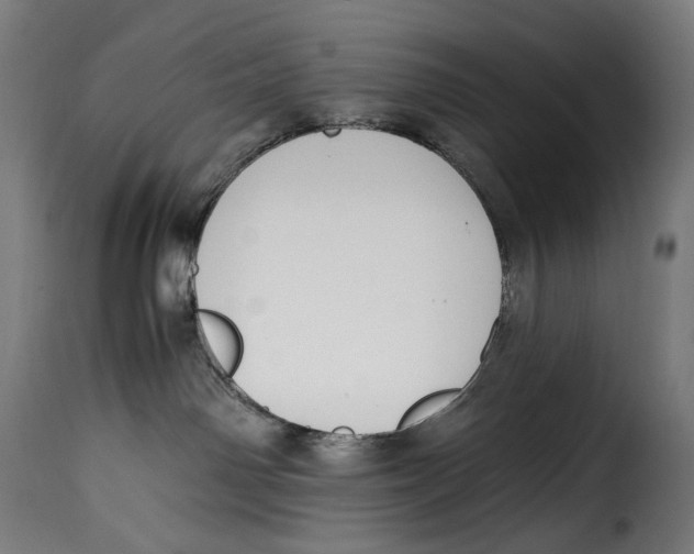 X0000115000142200911231213