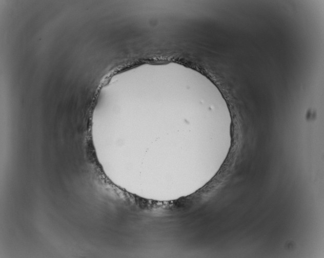 X0000115000144200911231213