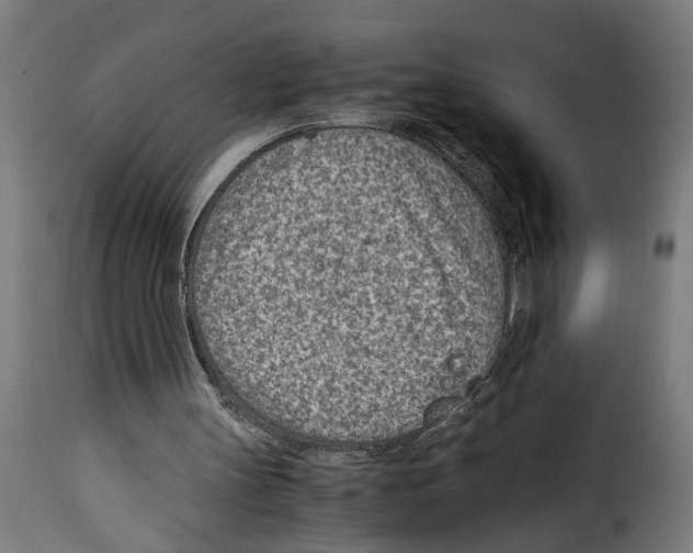 X0000115000147200911231212