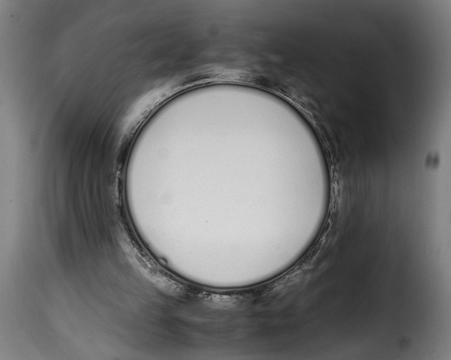 X0000115000149200911231212