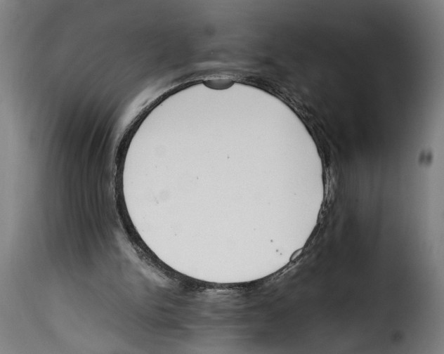 X0000115000150200911231212