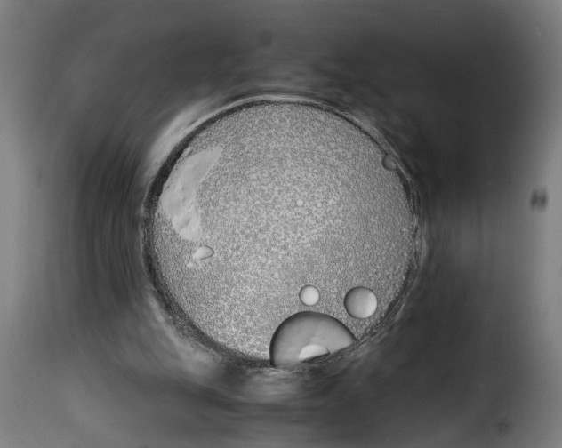 X0000115000151200911231212