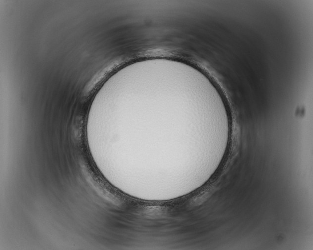 X0000115000153200911231212