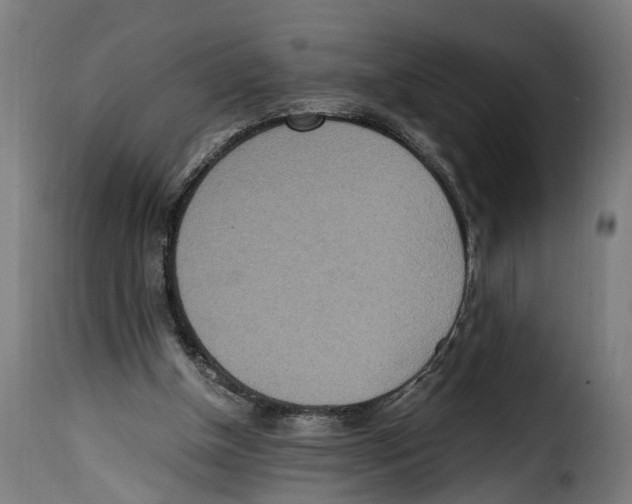 X0000115000154200911231212