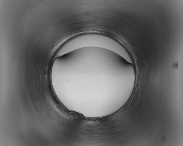 X0000115000155200911231212