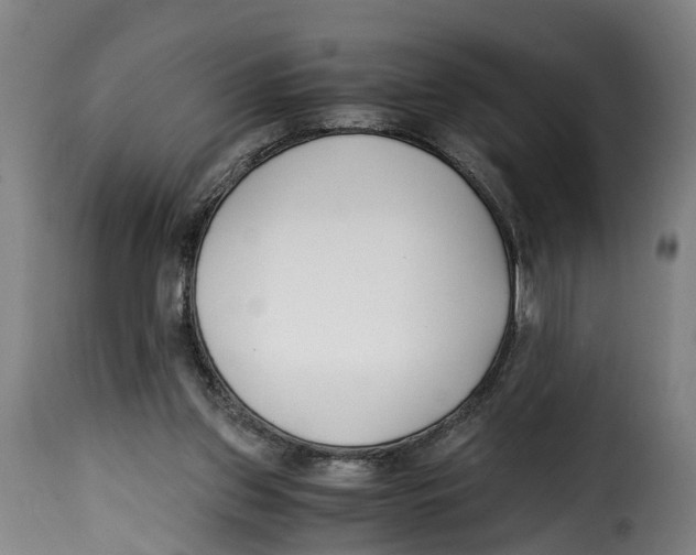 X0000115000157200911231212