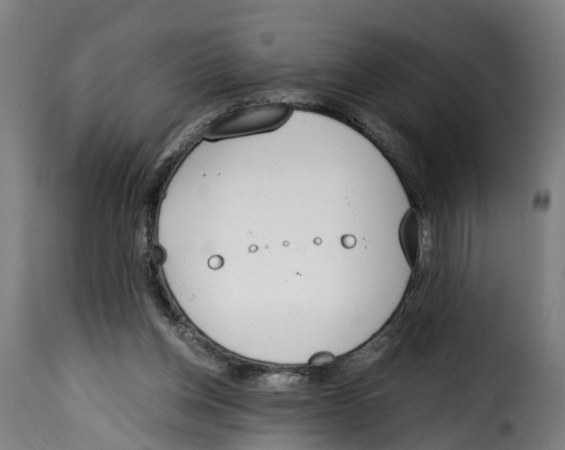 X0000115000158200911231212