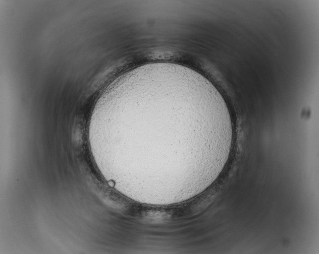 X0000115000161200911231212